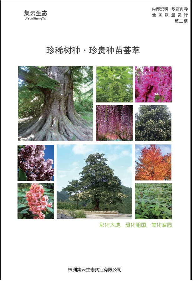 ���޼������B���I��Әӱ�����